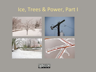 Ice, Trees & Power, Part I 