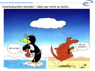 Interkultureller Kontakt – alles gar nicht so leicht… Mir ist kalt! Mir ist schlecht! 