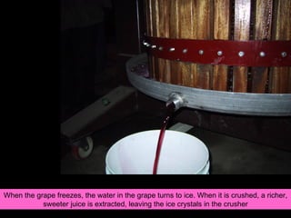 When the grape freezes, the water in the grape turns to ice. When it is crushed, a richer, sweeter juice is extracted, leaving the ice crystals in the crusher 