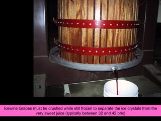 Icewine Grapes must be crushed while still frozen to separate the ice crystals from the very sweet juice (typically between 32 and 42 brix) 