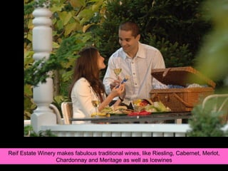 Reif Estate Winery makes fabulous traditional wines, like Riesling, Cabernet, Merlot, Chardonnay and Meritage as well as Icewines 