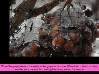 When the grape freezes, the water in the grape turns to ice. When it is crushed, a richer, sweeter juice is extracted, leaving the ice crystals in the crusher 