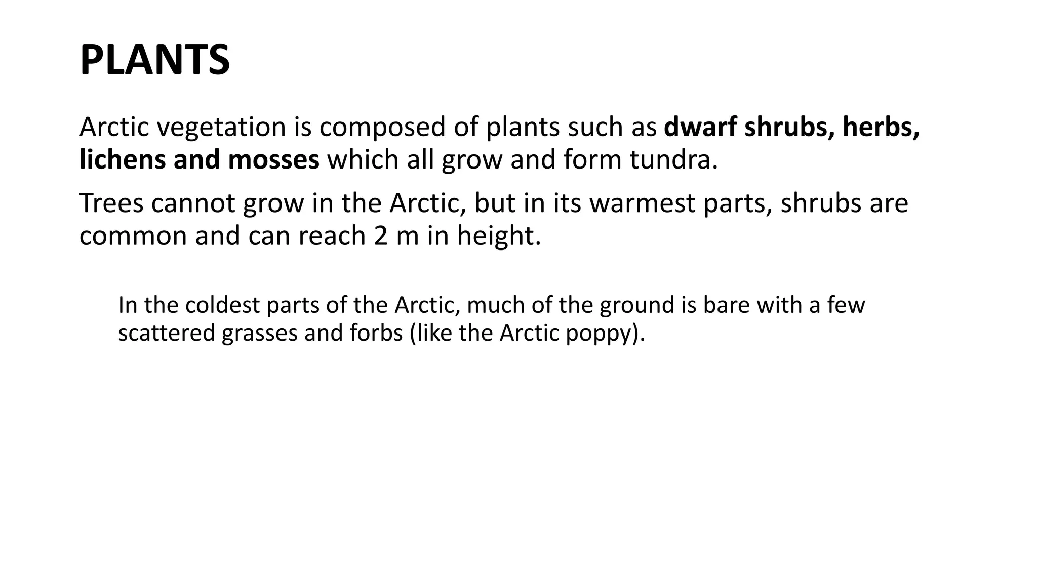 GEOGRAPHY YEAR 9 - ICE WORLDS - THE ARCTIC | PPTX