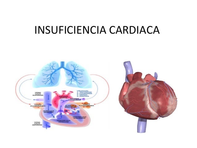 Duele la espalda abajo a la derecha y en lo bajo del vientre a la derecha