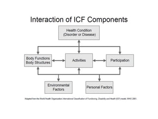 International Classification of Functioning | PDF