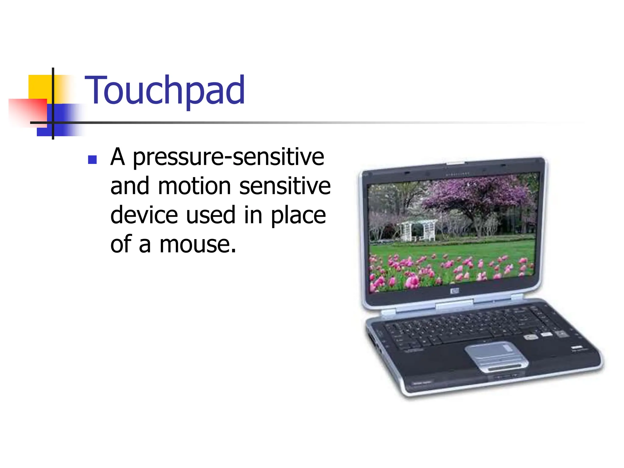 Touchpad
 A pressure-sensitive
and motion sensitive
device used in place
of a mouse.
 