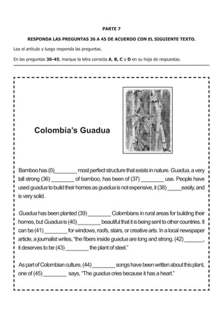 PARTE 7
RESPONDA LAS PREGUNTAS 36 A 45 DE ACUERDO CON EL SIGUIENTE TEXTO.
Lea el artículo y luego responda las preguntas.
En las preguntas 36-45, marque la letra correcta A, B, C o D en su hoja de respuestas.
Bamboohas(0)________mostperfectstructurethatexistsinnature.Guadua,avery
tall strong (36) ________ of bamboo, has been of (37) ________ use. People have
usedguaduatobuildtheirhomesasguaduaisnotexpensive,it(38)_____easily,and
is very solid.
Guadua has been planted (39) ________ Colombians in rural areas for building their
homes,butGuaduais(40)________beautifulthatitisbeingsenttoothercountries.It
canbe(41)________forwindows,roofs,stairs,orcreativearts.Inalocalnewspaper
article, a journalist writes, “the fibers inside guadua are long and strong. (42) ________,
it deserves to be (43) ________ the plant of steel.”
AspartofColombianculture,(44)________songshavebeenwrittenaboutthisplant,
one of (45) ________ says, “The guadua cries because it has a heart.”
Colombia’s Guadua
 