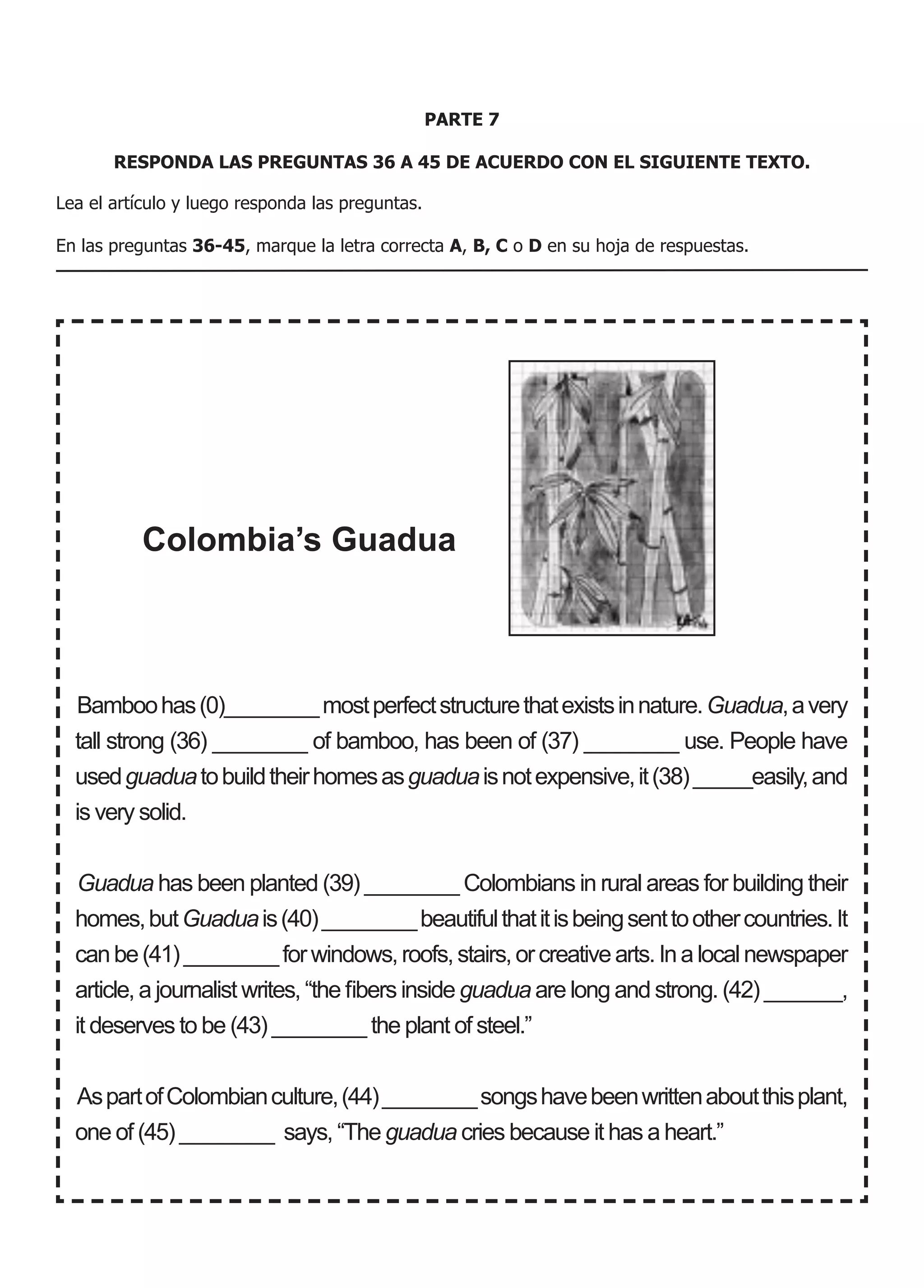 PARTE 7
RESPONDA LAS PREGUNTAS 36 A 45 DE ACUERDO CON EL SIGUIENTE TEXTO.
Lea el artículo y luego responda las preguntas.
En las preguntas 36-45, marque la letra correcta A, B, C o D en su hoja de respuestas.
Bamboohas(0)________mostperfectstructurethatexistsinnature.Guadua,avery
tall strong (36) ________ of bamboo, has been of (37) ________ use. People have
usedguaduatobuildtheirhomesasguaduaisnotexpensive,it(38)_____easily,and
is very solid.
Guadua has been planted (39) ________ Colombians in rural areas for building their
homes,butGuaduais(40)________beautifulthatitisbeingsenttoothercountries.It
canbe(41)________forwindows,roofs,stairs,orcreativearts.Inalocalnewspaper
article, a journalist writes, “the fibers inside guadua are long and strong. (42) ________,
it deserves to be (43) ________ the plant of steel.”
AspartofColombianculture,(44)________songshavebeenwrittenaboutthisplant,
one of (45) ________ says, “The guadua cries because it has a heart.”
Colombia’s Guadua
 