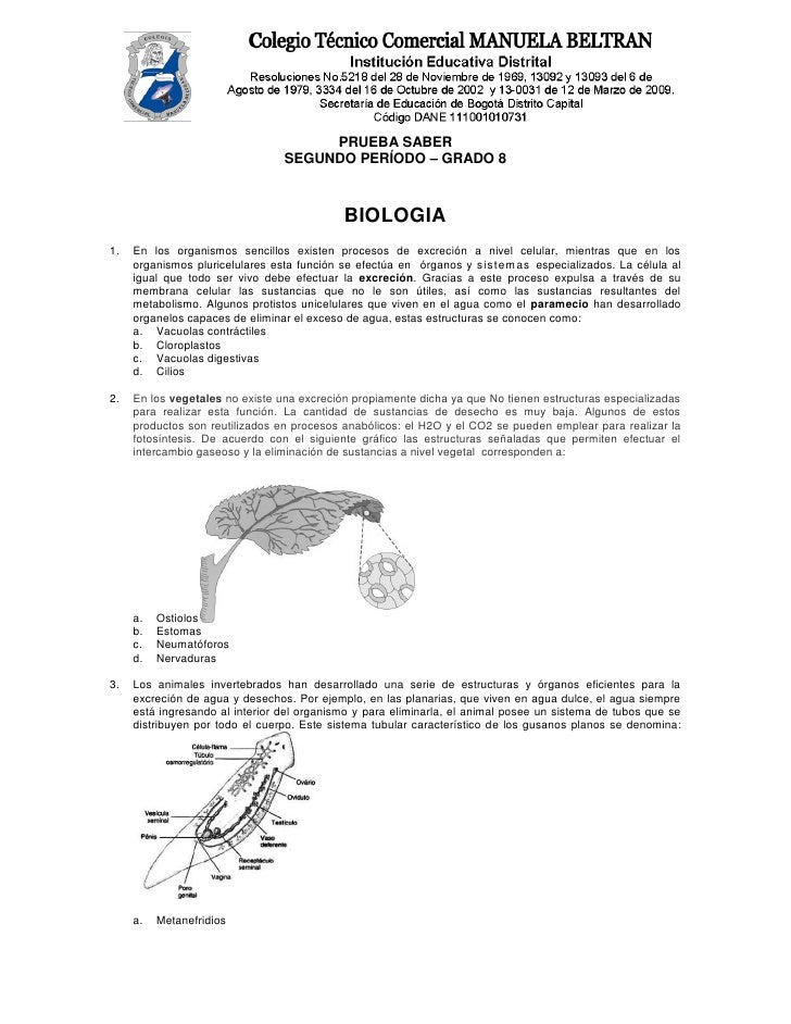 preguntas de historia icfes icfes ciencias octavo preguntas de historia icfes icfes ciencias octavo