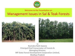 Welcome to the Presentation on
Management Issues in Sal & Teak Forests
By
Ravindra Nath Saxena
Principal Chief Conservator of Forests &
Managing Director,
MP State Forest Development Corporation Limited,
Madhya Pradesh
 