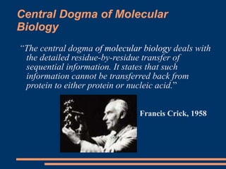 Central Dogma of Molecular
Biology
“The central dogma of molecular biology deals with
the detailed residue-by-residue transfer of
sequential information. It states that such
information cannot be transferred back from
protein to either protein or nucleic acid.”
Francis Crick, 1958
 
