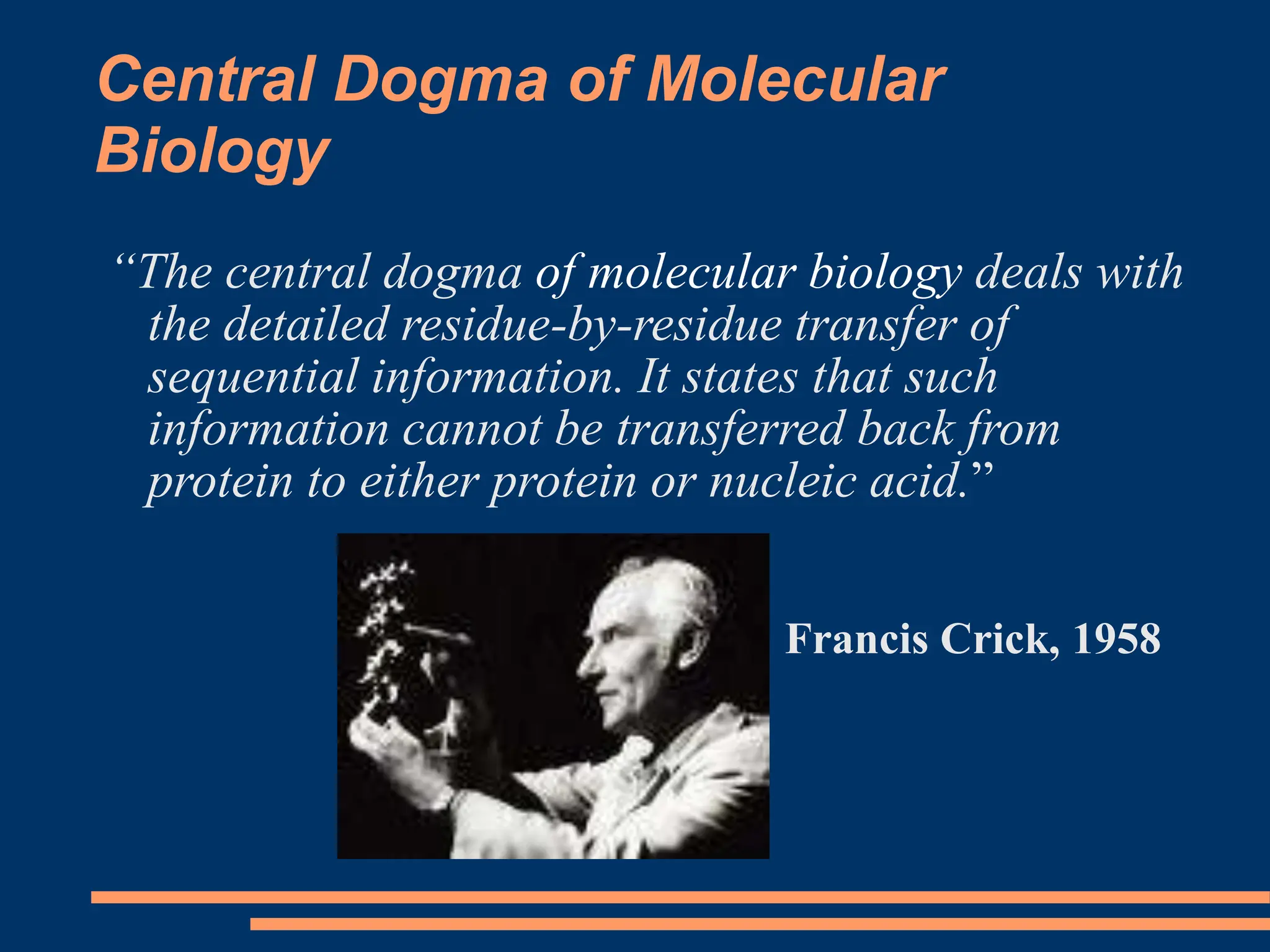 Central Dogma of Molecular Biology powerpoint | PPT