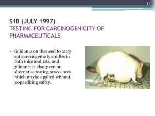 ICH ethics and animal experimentation | PPTX | Endocrine and Metabolic ...