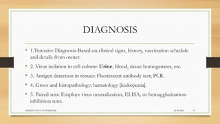 DIAGNOSIS
• 1.Tentative Diagnosis-Based on clinical signs, history, vaccination schedule
and details from owner.
• 2. Virus isolation in cell culture: Urine, blood, tissue homogenates, etc.
• 3. Antigen detection in tissues: Fluorescent antibody test; PCR.
• 4. Gross and histopathology; hematology [leukopenia].
• 5. Paired sera: Employs virus neutralization, ELISA, or hemagglutination-
inhibition tests.
24-09-2020ABHIJITH SP CVAS POOKODE 19
 