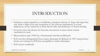 INTRODUCTION
• Infectious canine hepatitis is a worldwide, contagious disease of dogs with signs that
vary from a slight fever and congestion of the mucous membranes to severe
depression, severe reduction in white blood cells, and deficiency of blood clotting.
• In recent years, the disease has become uncommon in areas where routine
vaccination is used.
• Discovered in early 1950s by a Veterinarian Carl Steven Rubarth.
• ICH was first distinguished from canine distemper by Rubarth in 1947 using ferrets;
ferrets are resistant to ICH but susceptible to canine distemper.
• ICH occurs worldwide.
24-09-2020ABHIJITH SP CVAS POOKODE 2
 