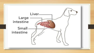 24-09-2020ABHIJITH SP CVAS POOKODE 21
 