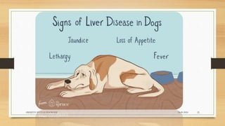 24-09-2020ABHIJITH SP CVAS POOKODE 22
 