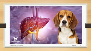 24-09-2020ABHIJITH SP CVAS POOKODE 23
 