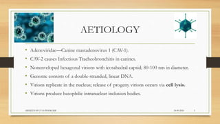 AETIOLOGY
• Adenoviridae—Canine mastadenovirus 1 (CAV-1).
• CAV-2 causes Infectious Tracheobronchitis in canines.
• Nonenveloped hexagonal virions with icosahedral capsid; 80-100 nm in diameter.
• Genome consists of a double-stranded, linear DNA.
• Virions replicate in the nucleus; release of progeny virions occurs via cell lysis.
• Virions produce basophilic intranuclear inclusion bodies.
24-09-2020ABHIJITH SP CVAS POOKODE 3
 