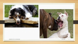 24-09-2020ABHIJITH SP CVAS POOKODE 6
 