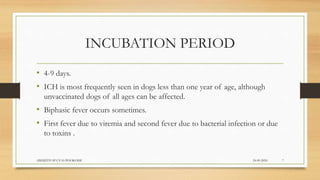 INCUBATION PERIOD
• 4-9 days.
• ICH is most frequently seen in dogs less than one year of age, although
unvaccinated dogs of all ages can be affected.
• Biphasic fever occurs sometimes.
• First fever due to viremia and second fever due to bacterial infection or due
to toxins .
24-09-2020ABHIJITH SP CVAS POOKODE 7
 