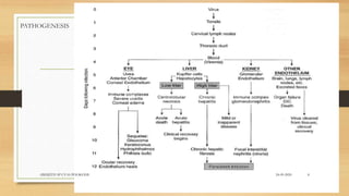 PATHOGENESIS
24-09-2020ABHIJITH SP CVAS POOKODE 8
 