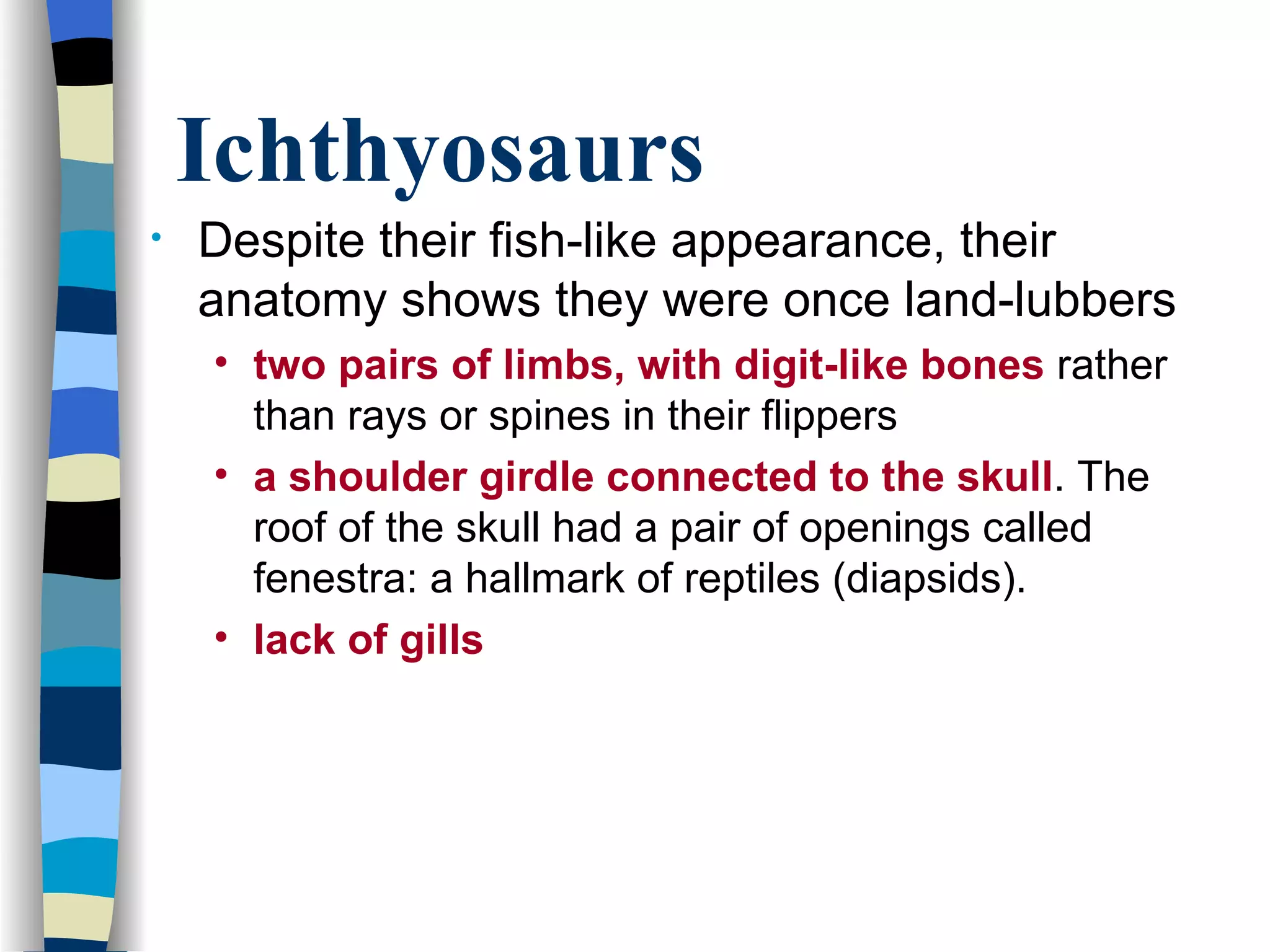 Ichthyosaurs
•   Despite their fish-like appearance, their
    anatomy shows they were once land-lubbers
    • two pairs of limbs, with digit-like bones rather
      than rays or spines in their flippers
    • a shoulder girdle connected to the skull. The
      roof of the skull had a pair of openings called
      fenestra: a hallmark of reptiles (diapsids).
    • lack of gills
 