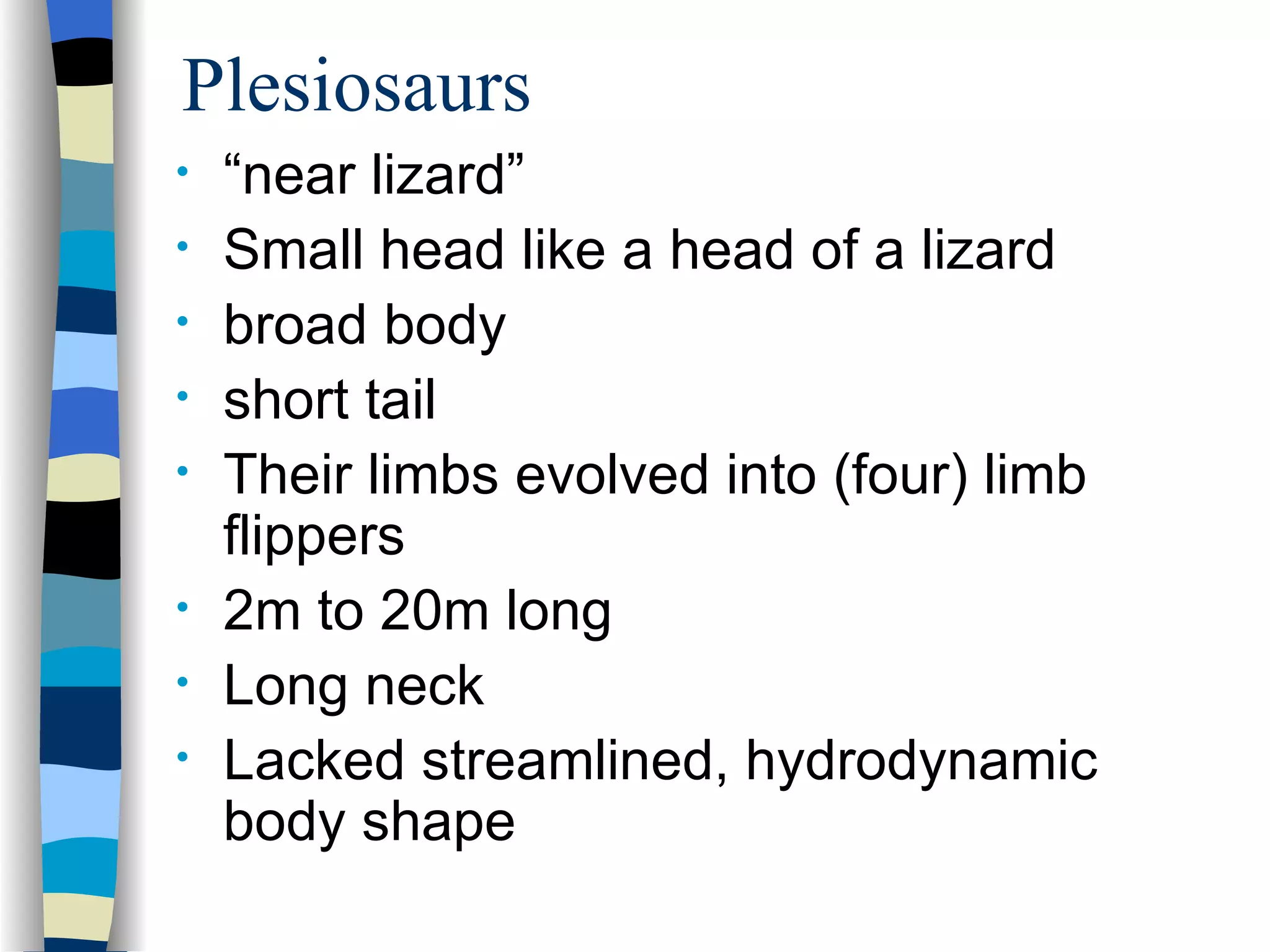 Plesiosaurs
•   “near lizard”
•   Small head like a head of a lizard
•   broad body
•   short tail
•   Their limbs evolved into (four) limb
    flippers
•   2m to 20m long
•   Long neck
•   Lacked streamlined, hydrodynamic
    body shape
 