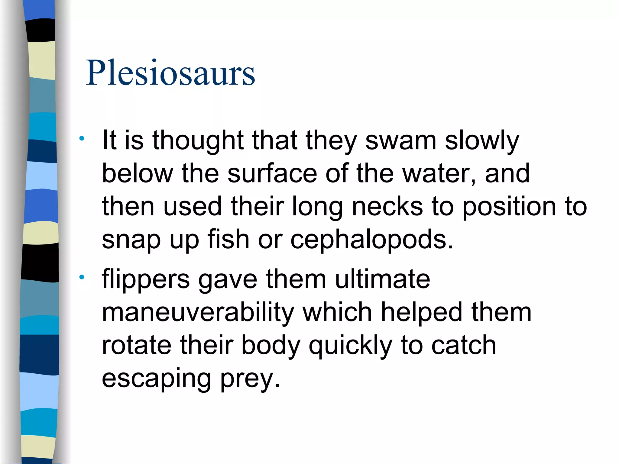 Plesiosaurs
•    It is thought that they swam slowly
     below the surface of the water, and
     then used their long necks to position to
     snap up fish or cephalopods.
•    flippers gave them ultimate
     maneuverability which helped them
     rotate their body quickly to catch
     escaping prey.
 