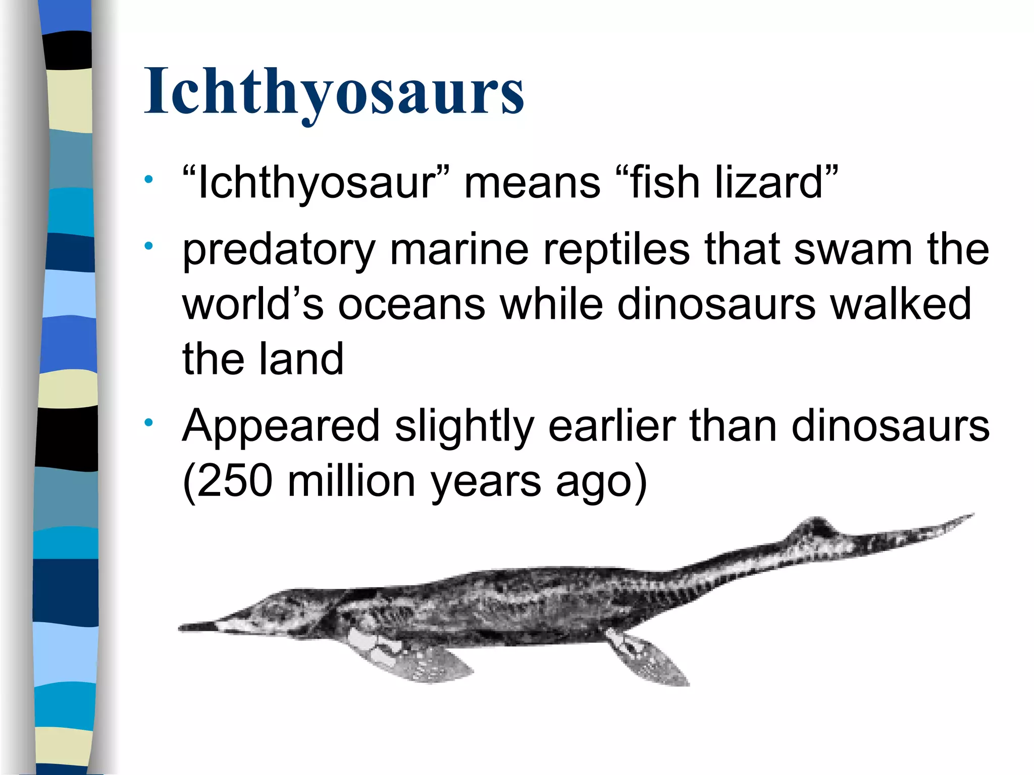 Ichthyosaurs
•   “Ichthyosaur” means “fish lizard”
•   predatory marine reptiles that swam the
    world’s oceans while dinosaurs walked
    the land
•   Appeared slightly earlier than dinosaurs
    (250 million years ago)
 