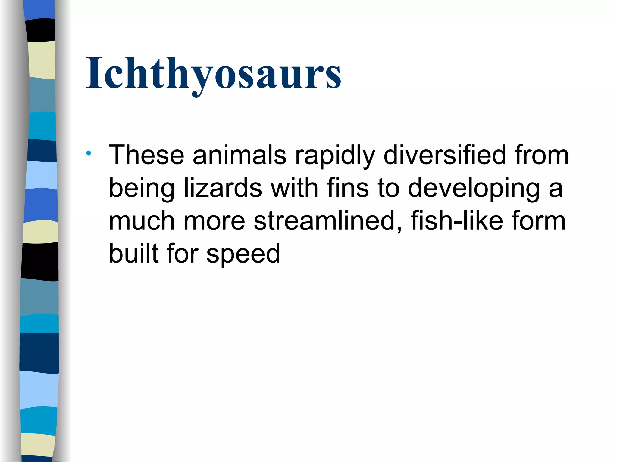 Ichthyosaurs
•   These animals rapidly diversified from
    being lizards with fins to developing a
    much more streamlined, fish-like form
    built for speed
 