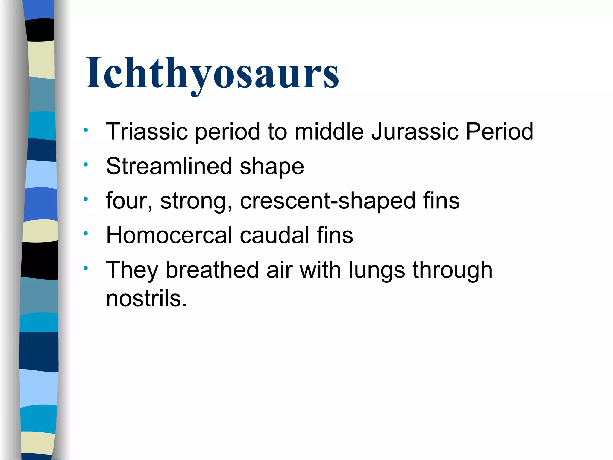 Ichthyosaurs
•   Triassic period to middle Jurassic Period
•   Streamlined shape
•   four, strong, crescent-shaped fins
•   Homocercal caudal fins
•   They breathed air with lungs through
    nostrils.
 