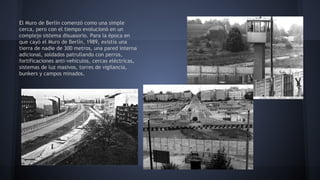 El Muro de Berlín comenzó como una simple
cerca, pero con el tiempo evolucionó en un
complejo sistema disuasorio. Para la época en
que cayó el Muro de Berlín, 1989, existía una
tierra de nadie de 300 metros, una pared interna
adicional, soldados patrullando con perros,
fortificaciones anti-vehículos, cercas eléctricas,
sistemas de luz masivos, torres de vigilancia,
bunkers y campos minados.
 