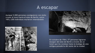 A escapar
Aunque 5.000 personas consiguieron con éxito
cruzar el muro hacia el este de Berlín, entre
100 y 200 individuos murieron intentándolo
En octubre de 1964, 57 personas lograron
escapar del este de Berlín a través de un
túnel que los condujo hasta la bodega de una
antigua panadería del oeste de la ciudad.
 