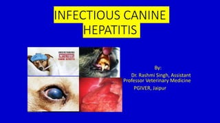 INFECTIOUS CANINE
HEPATITIS
By:
Dr. Rashmi Singh, Assistant
Professor Veterinary Medicine
PGIVER, Jaipur
 