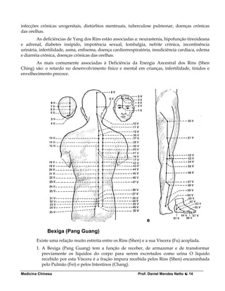infecções crônicas urogenitais, distúrbios mentruais, tuberculose pulmonar, doenças crônicas
das orelhas.
        As deficiências de Yang dos Rins estão associadas a: neurastenia, hipofunção tireoideana
e adrenal, diabetes insípido, impotência sexual, lombalgia, nefrite crônica, incontinência
urinária, infertilidade, asma, enfisema, doença cardiorrespiratória, insuficiência cardíaca, edema
e diarréia crônica, doenças crônicas das orelhas.
       As mais comumente associadas à Deficiência da Energia Ancestral dos Rins (Shen
Ching) são: o retardo no desenvolvimento físico e mental em crianças, infertilidade, tinidos e
envelhecimento precoce.




                                                                 e

             Bexiga (Pang Guang)
        Existe uma relação muito estreita entre os Rins (Shen) e a sua Víscera (Fu) acoplada.
        1. A Bexiga (Pang Guang) tem a função de receber, de armazenar e de transformar
           previamente os líquidos do corpo para serem excretados como urina O líquido
           recebido por esta Víscera é a fração impura recebida pelos Rins (Shen) encaminhada
           pelo Pulmão (Fei) e pelos Intestinos (Chang).

Medicina Chinesa                                            Prof. Daniel Mendes Netto   14
 