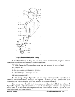 Triplo Aquecedor (San Jiao)
       É indubitavelmente o Zang Fu de mais difícil compreensão, surgindo muitas
controvérsias sobre ele, tanto na China quanto no Ocidente.
        “O Triplo Aquecedor (TA) possui um nome, mas não tem uma forma corpórea”.
        Ele participa da:
        I - Transformação e circulação dos líquidos;
        II - Transformação e circulação do Chi;
        III - Interpretação do TA.
       No Nei Ching, o Triplo Aquecedor tem por função primaz controlar e coordenar a
formação, a transformação e a circulação dos Líquidos Orgânicos (Jin Ye). Constitui uma rede
denominada de “Vias das Águas” por onde circulam os líquidos livremente.
          Para estudo, ele é dividido em três Aquecedores: o Superior, o Médio e o Inferior. O
Aquecedor Superior (AS) está relacionado ao C e P - do diafragma para cima -; o Aquecedor
Médio (AM), ao BP e E - entre o diafragma e o umbigo -; o Aquecedor Inferior (AI), ao F, R, B, ID
e IG - situando-se abaixo do umbigo.
Medicina Chinesa                                            Prof. Daniel Mendes Netto   26
 