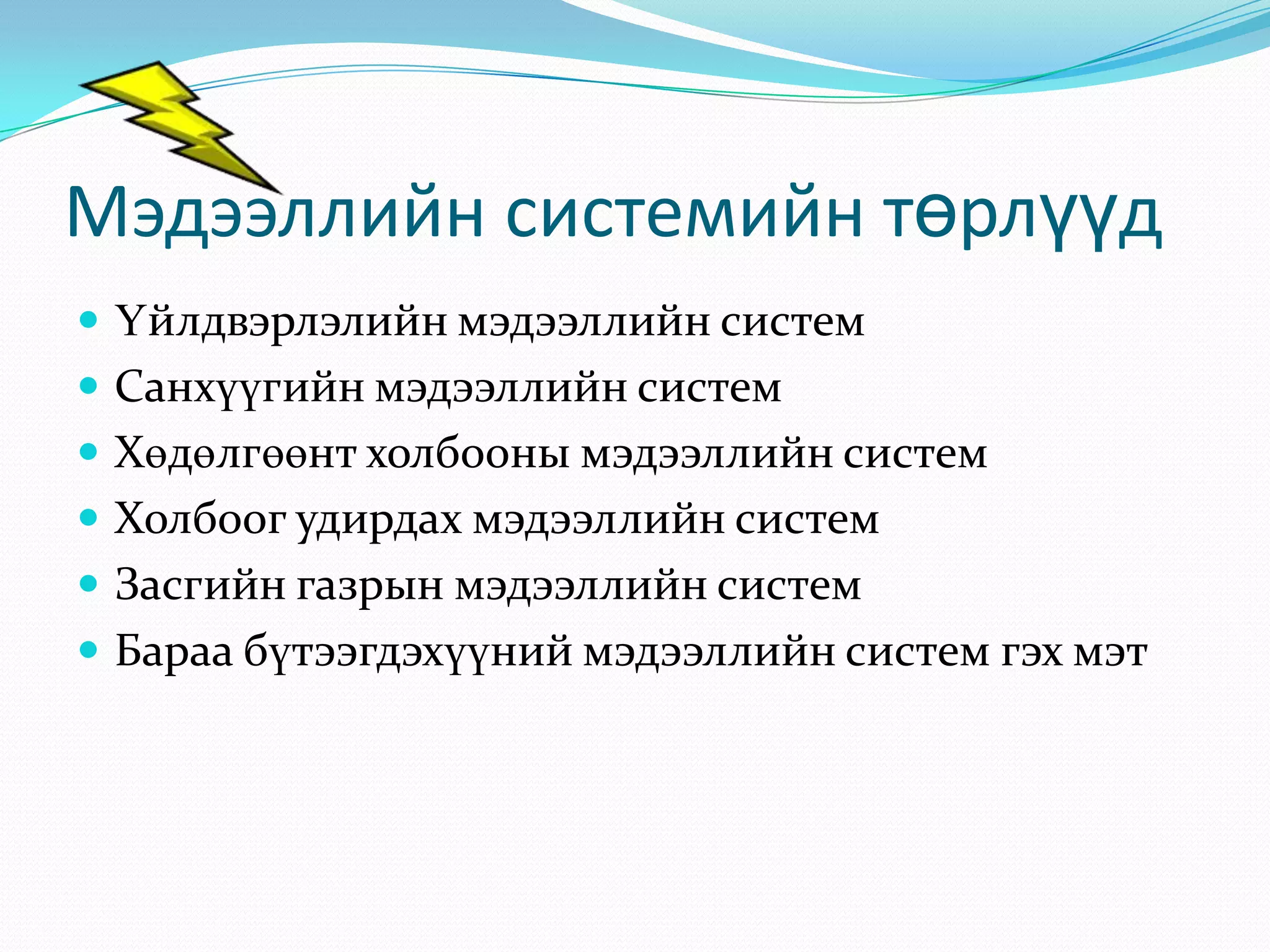 Мэдээллийн системийн төрлүүд
 Үйлдвэрлэлийн мэдээллийн систем
 Санхүүгийн мэдээллийн систем
 Хөдөлгөөнт холбооны мэдээллийн систем
 Холбоог удирдах мэдээллийн систем
 Засгийн газрын мэдээллийн систем
 Бараа бүтээгдэхүүний мэдээллийн систем гэх мэт

 