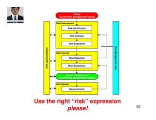 ICH Q9 Quality Risk Management | PDF