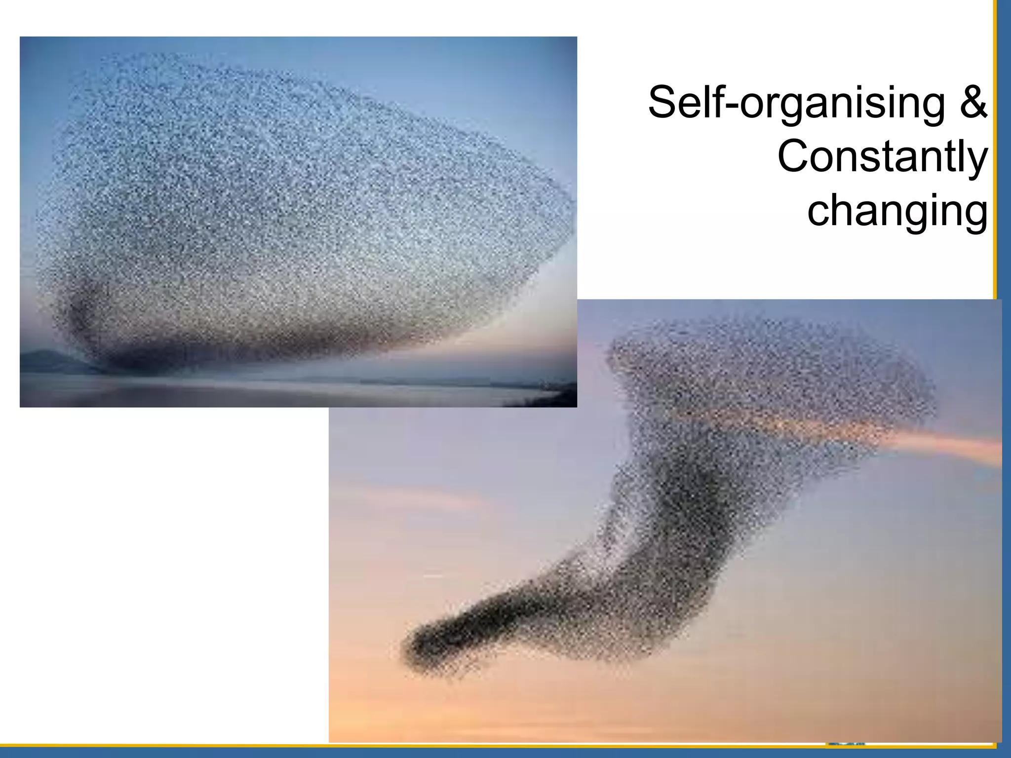 Self-organising &
Constantly
changing
 