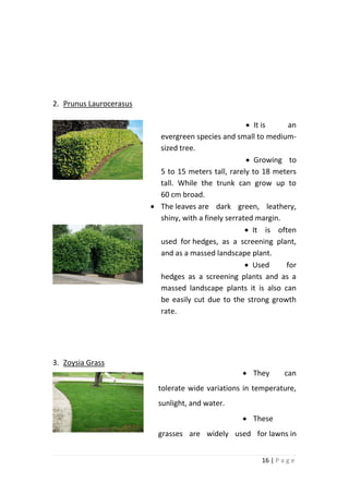 16 | P a g e
2. Prunus Laurocerasus
It is an
evergreen species and small to medium-
sized tree.
Growing to
5 to 15 meters tall, rarely to 18 meters
tall. While the trunk can grow up to
60 cm broad.
The leaves are dark green, leathery,
shiny, with a finely serrated margin.
It is often
used for hedges, as a screening plant,
and as a massed landscape plant.
Used for
hedges as a screening plants and as a
massed landscape plants it is also can
be easily cut due to the strong growth
rate.
3. Zoysia Grass
They can
tolerate wide variations in temperature,
sunlight, and water.
These
grasses are widely used for lawns in
 