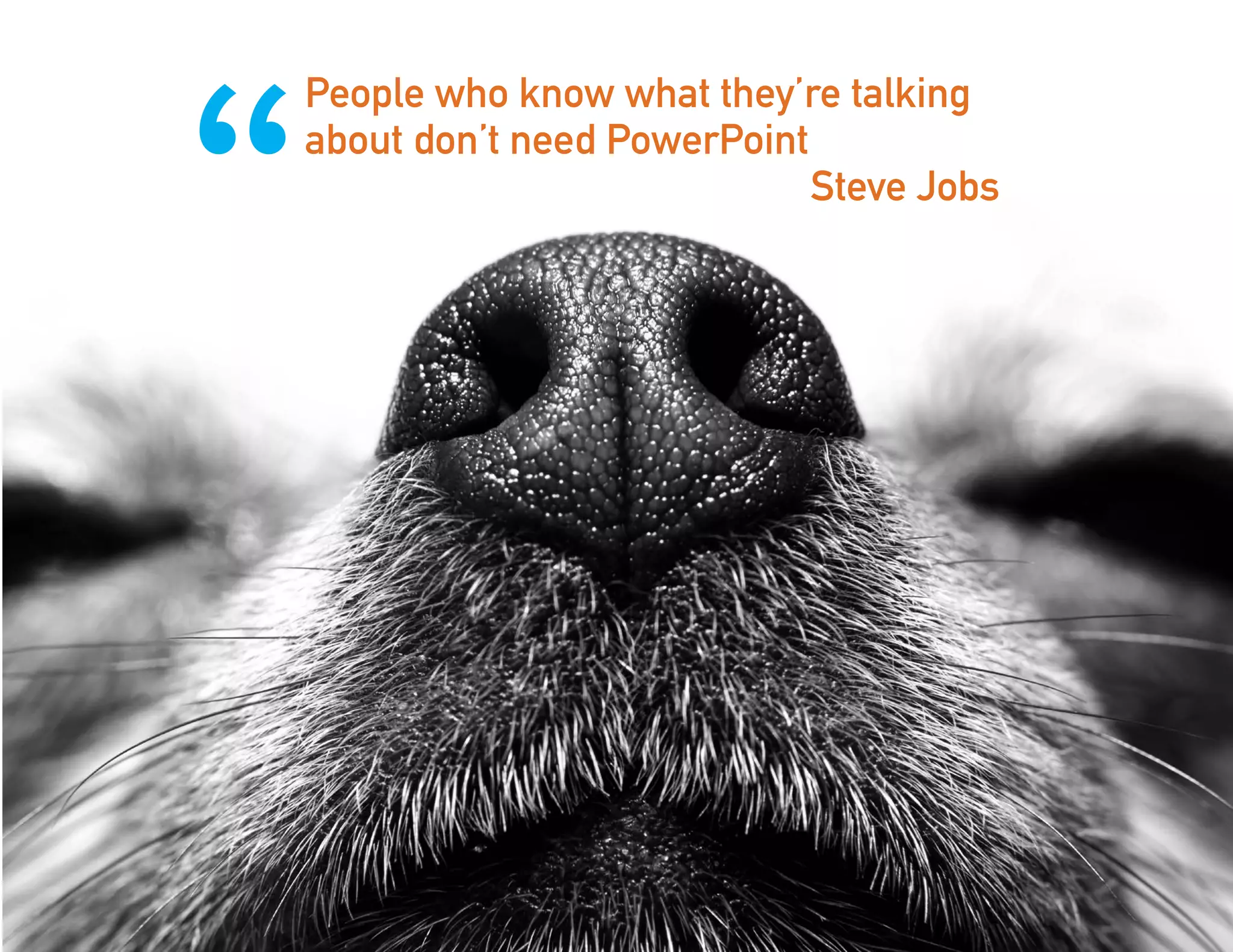 3
People who know what they’re talking
about don’t need PowerPoint
Steve Jobs
“
 