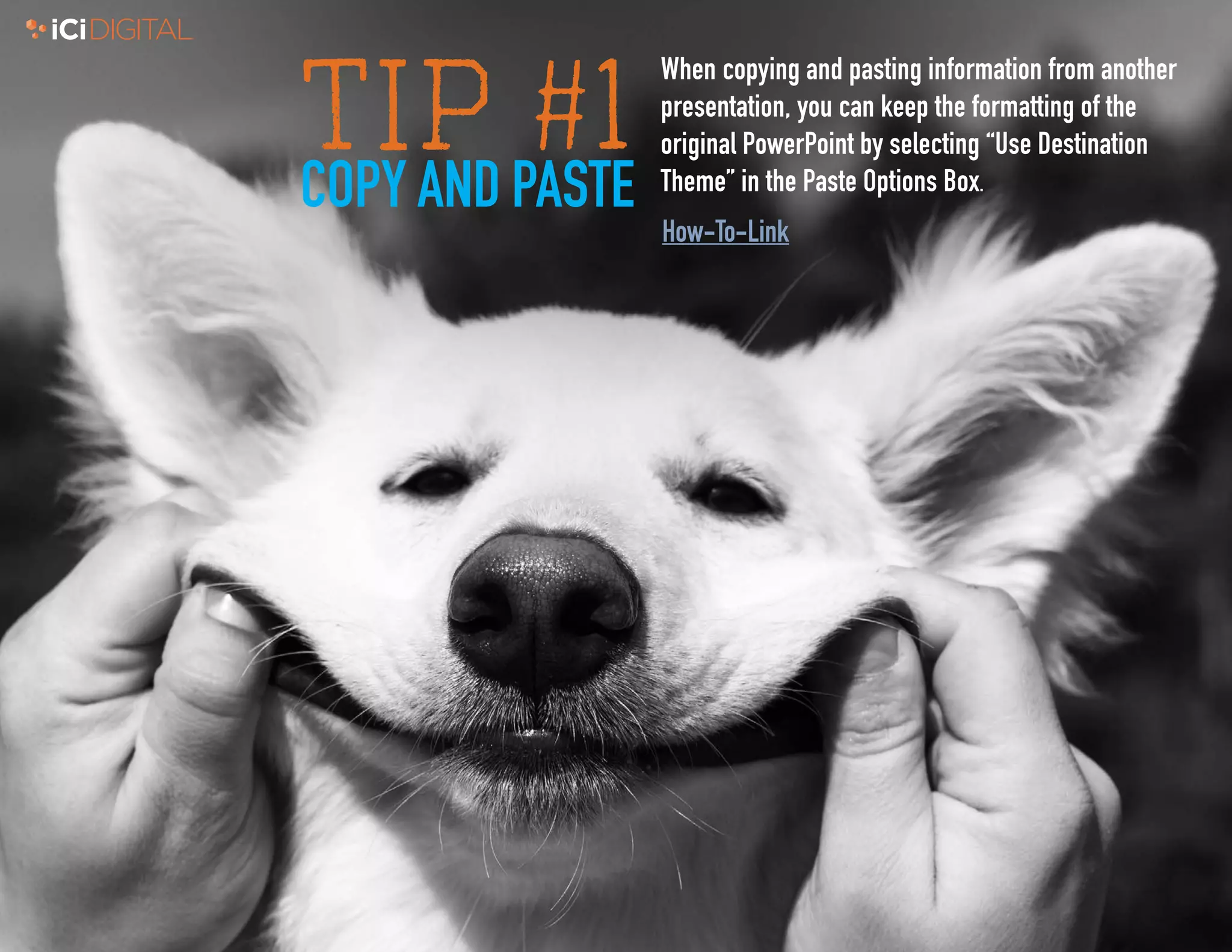 1
TIP #1COPY AND PASTE
When copying and pasting information from another
presentation, you can keep the formatting of the
original PowerPoint by selecting “Use Destination
Theme” in the Paste Options Box.
How-To-Link
 