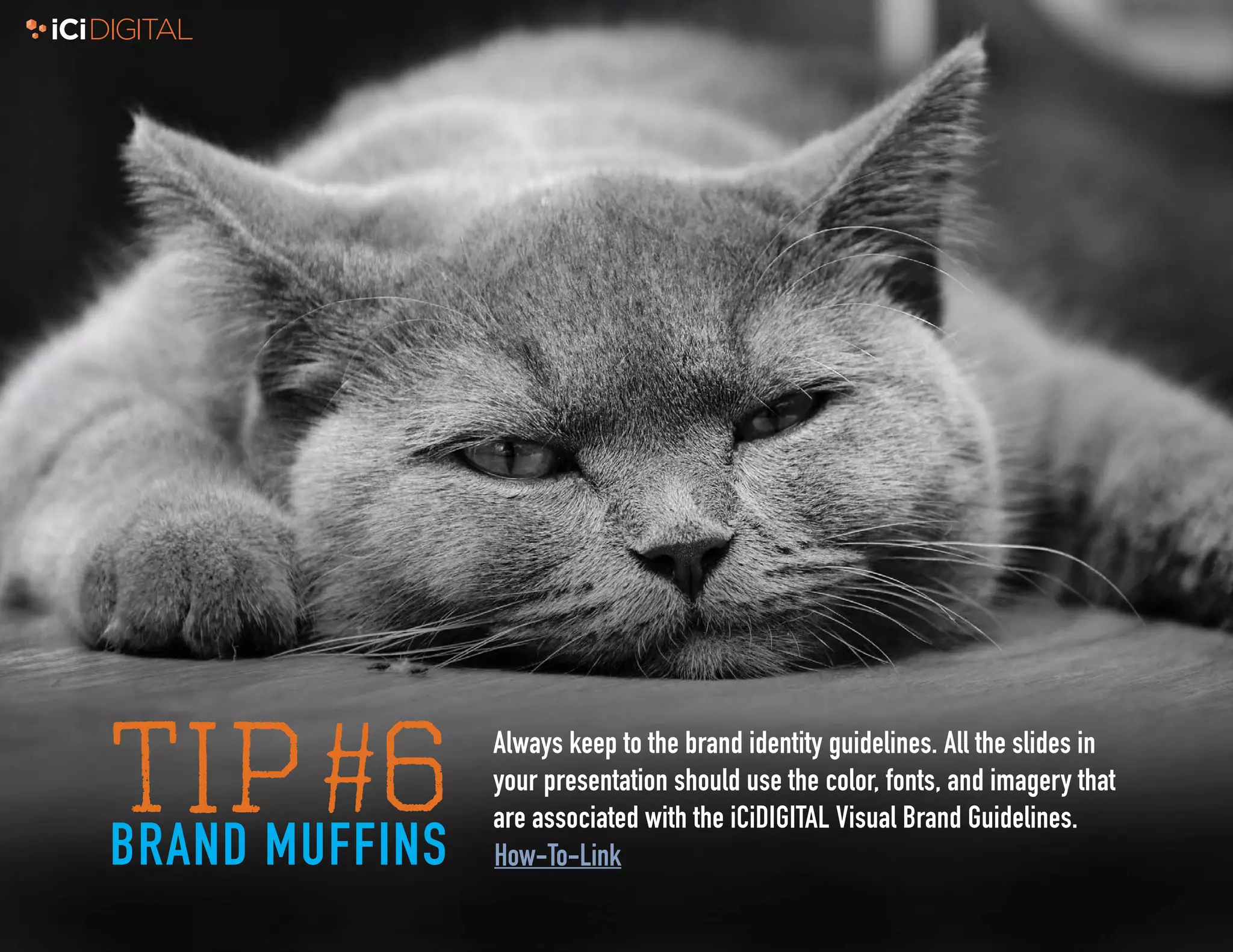6
TIP#6BRAND MUFFINS
Always keep to the brand identity guidelines. All the slides in
your presentation should use the color, fonts, and imagery that
are associated with the iCiDIGITAL Visual Brand Guidelines.
How-To-Link
 