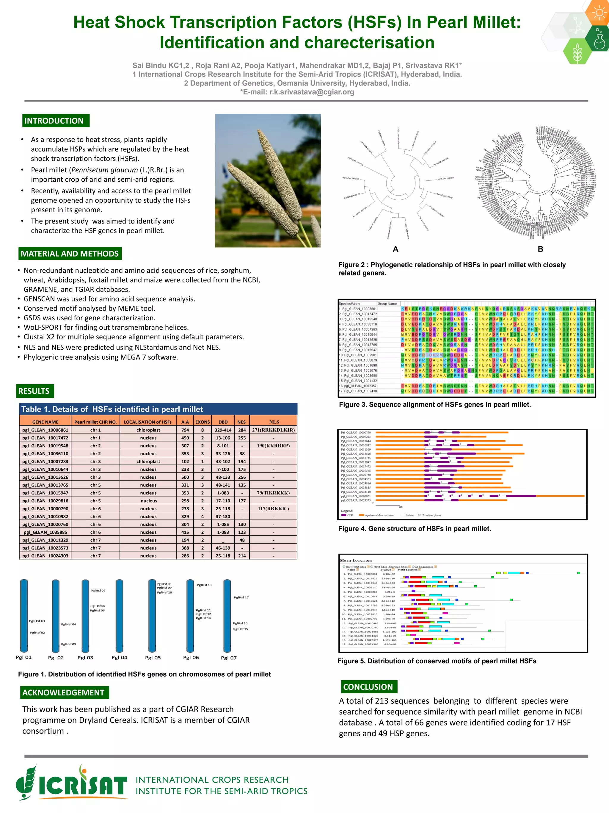 Hsf Tool Tutorial Heat Shock Transcription Factors (HSFs) In Pearl Millet: Identification ...