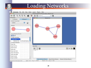 29
Loading Networks
• Use import network from table:
– Excel file
– Comma or tab delimited text
 