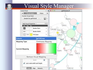 45
Visual Style Manager
 
