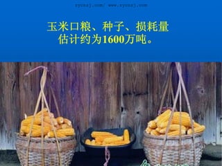 zycnzj.com/ www.zycnzj.com




玉米口粮、种子、损耗量
 估计约为1600万吨。




    zycnzj.com/http://www.zycnzj.com/
 