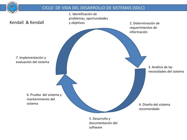 I ciclos de vida