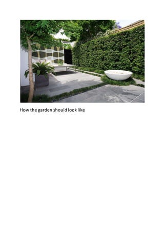 How the garden should look like
 